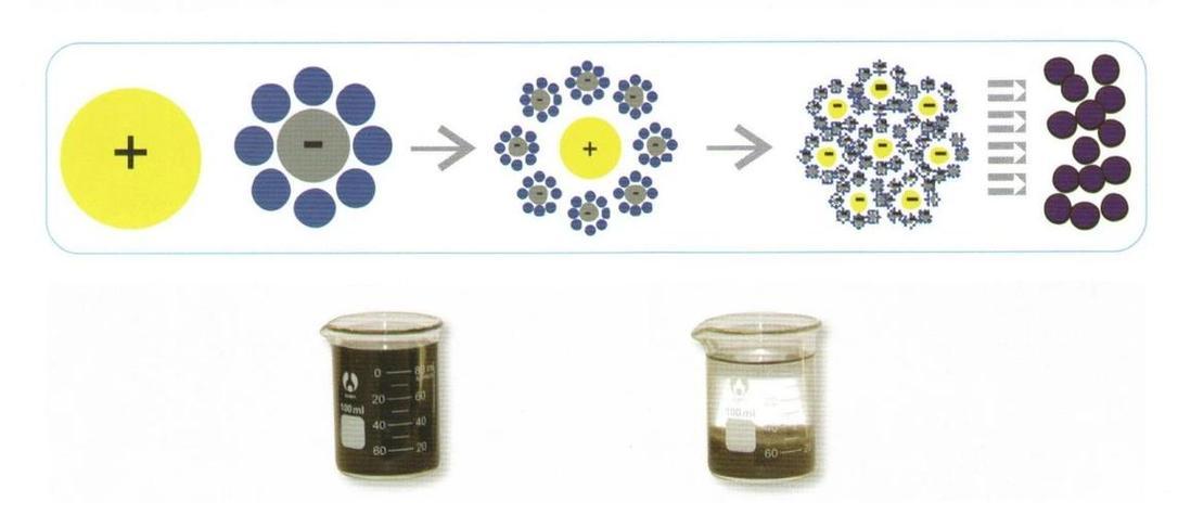 混凝沉淀法 水凈化的“黑科技”與檢測科技的完美結(jié)合